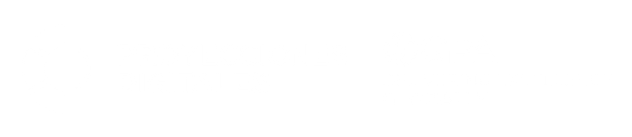 Proyecciones Digitales